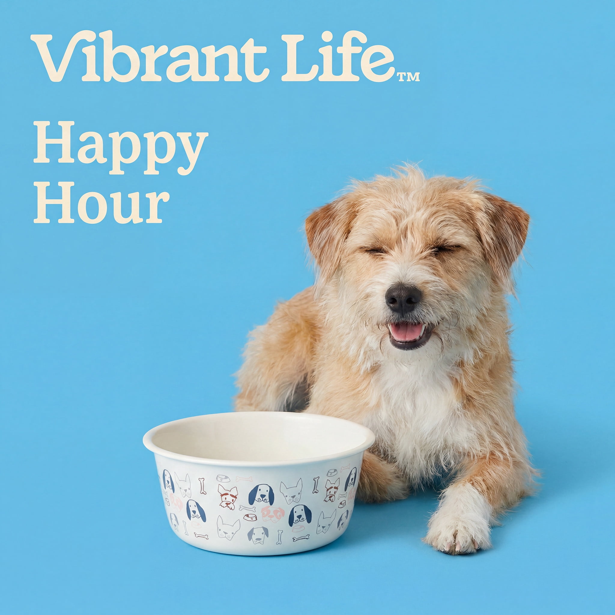 (4 pack) Vibrant Life Medium 4-Cup Stainless Steel Doggie Faces Pet Bowl, Off White
