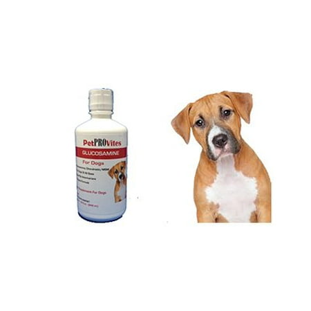 GLUCOSAMINE FOR DOGS - Pet PROVites - Liquid