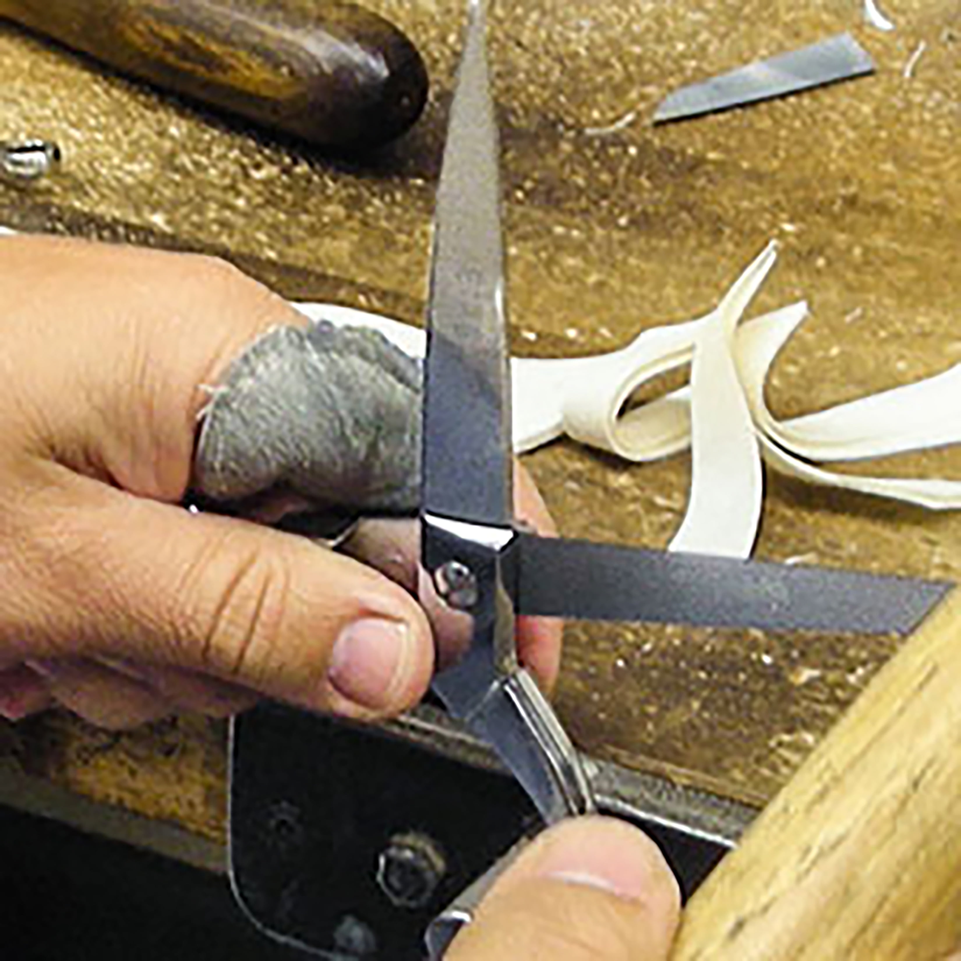 MycoEdge Harvesting Scissors & Blade Set