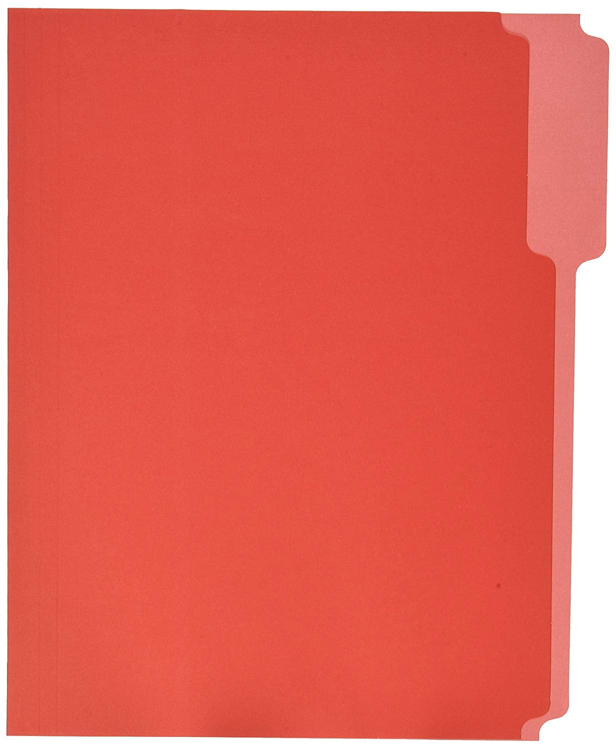 School Smart Mediumweight Stock 1/3 Cut 2Tone Reversible File Folder