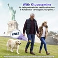 thumbnail image 2 of Schiff Glucosamine 2000mg with Hyaluronic Acid (Pack of 6), 2 of 5
