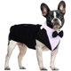 thumbnail image 1 of Set de corbatín formal para perros DORA BRIDAL S, negro, 1 of 8