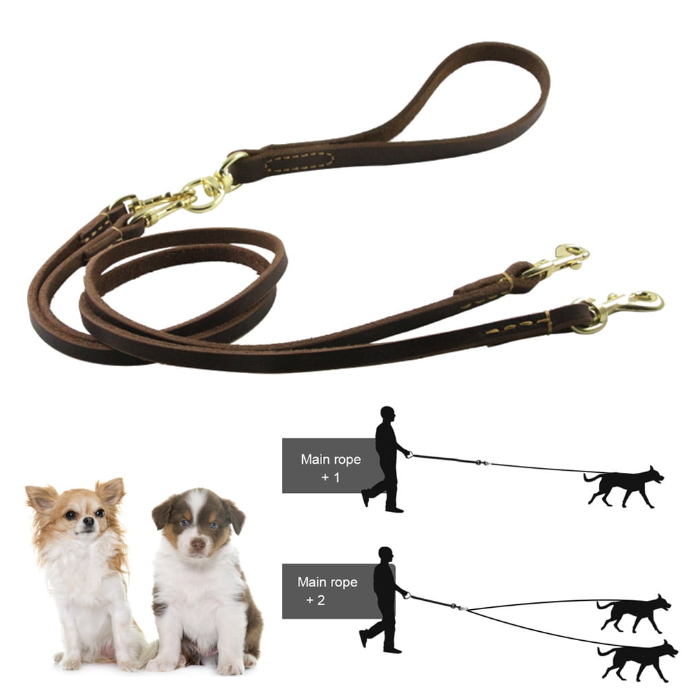 diy double dog leash