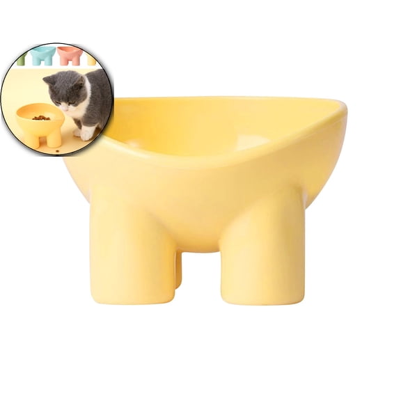 Cat Bowl, Elevated Pet Bowl, Anti-Vomiting Tilted Elevated Cat Food Bowl, Whisker Friendly Slanted Feeding Bowls with Shallow & Tall Design