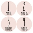 thumbnail image 1 of Baby Monthly Stickers | Baby Milestone Stickers | Newborn Stickers | Month Stickers for Baby Girl | Baby Girl Stickers | Newborn Monthly Milestone Stickers (Set of 24), 1 of 6