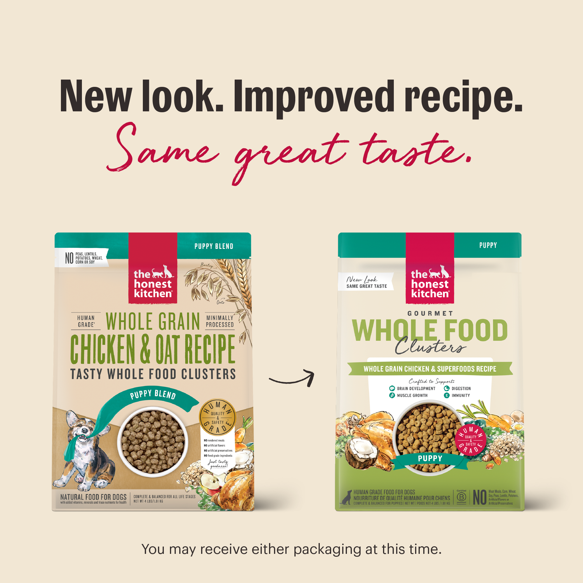 The Honest Kitchen Human Grade Chicken Puppy Dry Dog Food photo 7