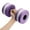 Purple, variant on SDJMA Water Weights For Pool Exercise, Aerobics Dumbbells Eva Aquatic Barbell, Water Dumbbells Water Aerobics Pool Barbells, Lightweight Resistance Aquatic Dumbbell For Swimming, Purple