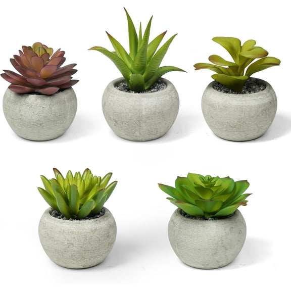 Ferrisland 5 Pcs Artificial Succulent Plants Set in Cement Pots, Fake Aloe Vera & Mini Succulents in Round Concrete Planters, Low Maintenance Faux Greenery Decor for Home Office Kitchen Table Shelf