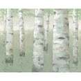 thumbnail image 3 of Wiens, James 14x12 Black Modern Framed Museum Art Print Titled - Spring Birch, 3 of 5