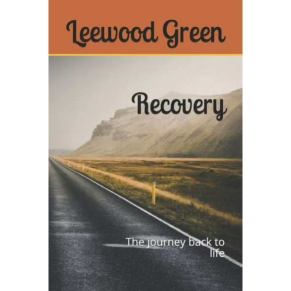 Recovery : The Journey back to life (Paperback)