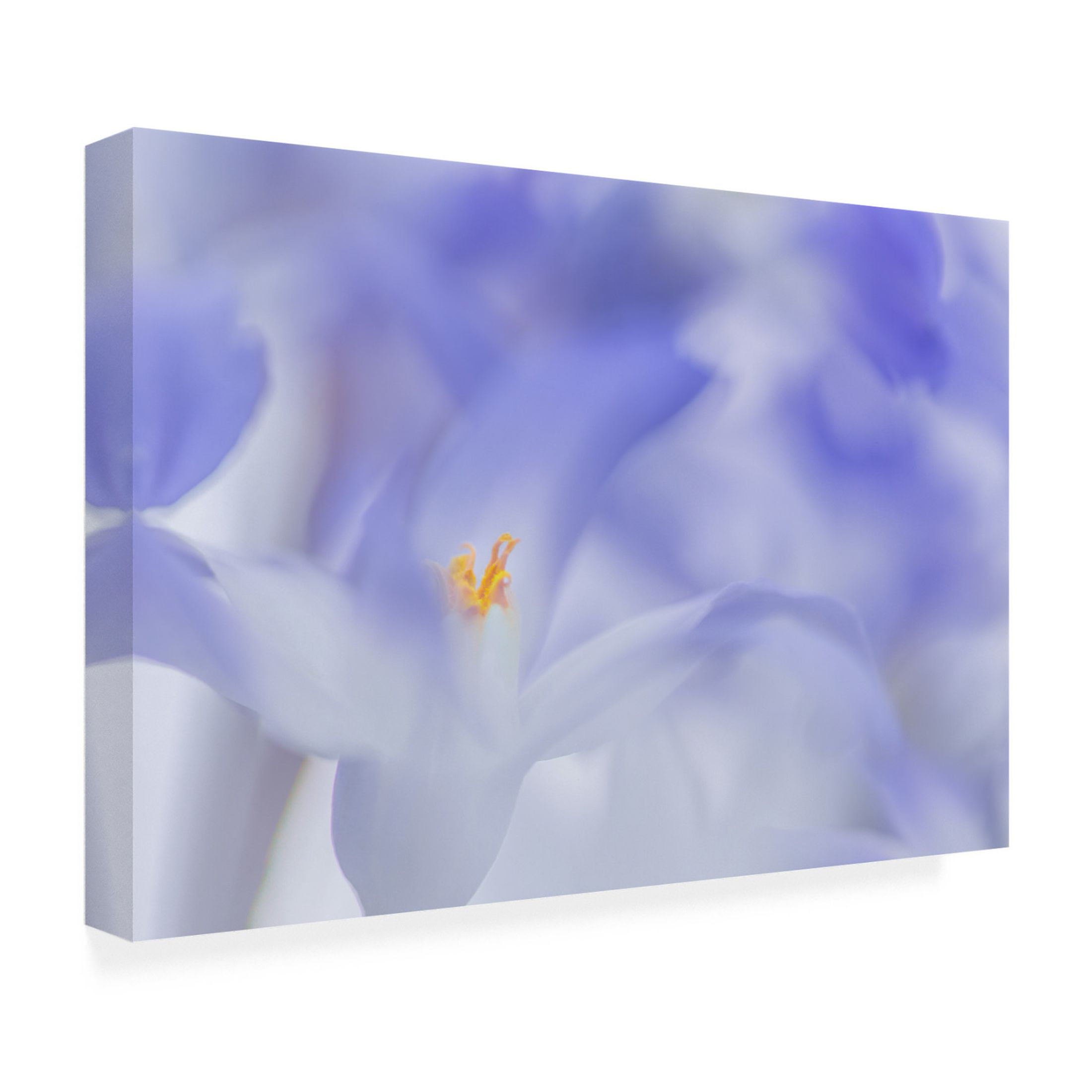 Canvas Wall Art - Roelof de Hoog 'Blue Waves' Wall Art for Living Room, Bedroom, or Office Décor by Trademark Fine Art - 47 x 30 Inches
