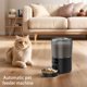 thumbnail image 2 of Dispensador Alimentos Secos Alimentador Automático para Temporizado Gatos 4 Litros Grabadora Voz 10 S Control Porciones Programable Hasta 9 Comidas Por Día Y, 2 of 9