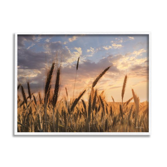 Stupell Industries Countryside Wheat Field Farmland Cloudy Sunset Sky, 20 x 16, Design by Lori Deiter