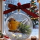 thumbnail image 1 of Adorno de Navidad 3D Transparente Bola de Pájaro | Decoración de árbol colgante hecha a mano | Efecto de globo de nieve con remolino de purpurina, caja de música, exhibición de pájaros realista,, 1 of 5