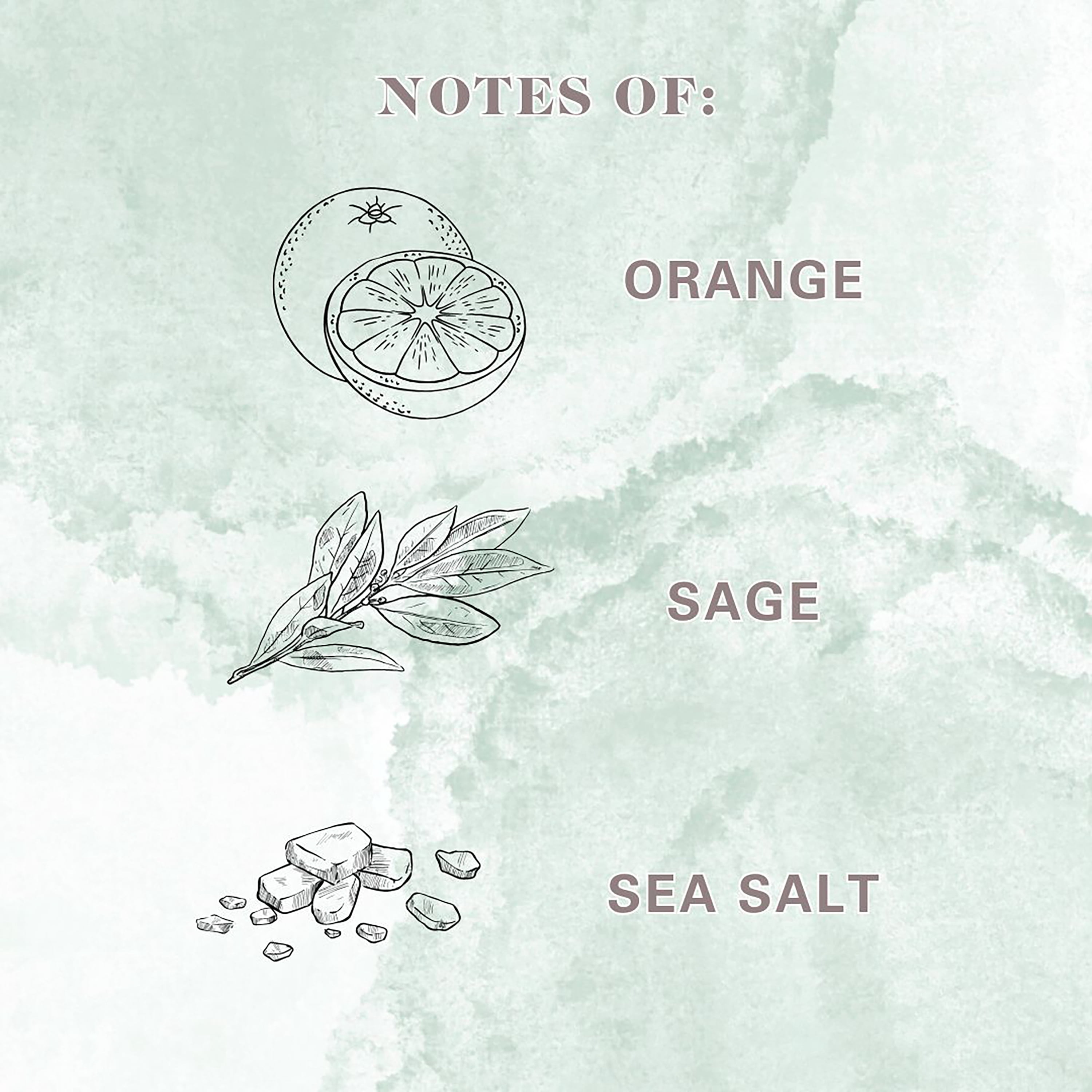 Allswell Cleanse (Fresh Orange + Sage Leaf + Sea Salt) Scented 1-Wick Organic Blown Jar Spa Candle 8oz.