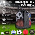 thumbnail image 3 of Juego de pelotas multideporte Libima de 6 piezas con bolsa y bomba, 3 of 6