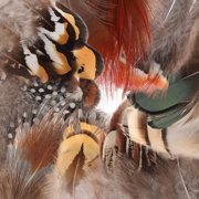 9 Styles Assorted Craft Feathers (180Pcs), Natural Chicken Feathers for DIY Earring Wings Dream Catcher Crafts Activities Project Wedding Party Home Decoration Carnival Costume Party Mask Decoration