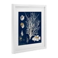 thumbnail image 2 of Stupell Industries Coastal Coral Medley on Navy White Framed Print Under Glass, 16 x 16, by Lanie Loreth, 2 of 8