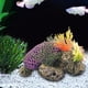 thumbnail image 4 of Plantas artificiales de acuario, tortuga , decoraciones para peceras, decoración para hogar, resina, 15x11 pulgadas, paisaje de acuario Yinane Tortuga de coral de acuario, 4 of 8