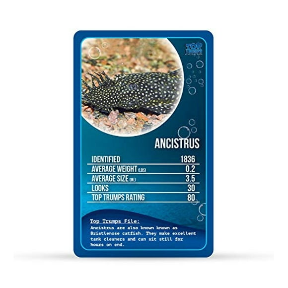 Peces de agua dulce Top Trumps Juego de cartas Top Trumps Top Trumps