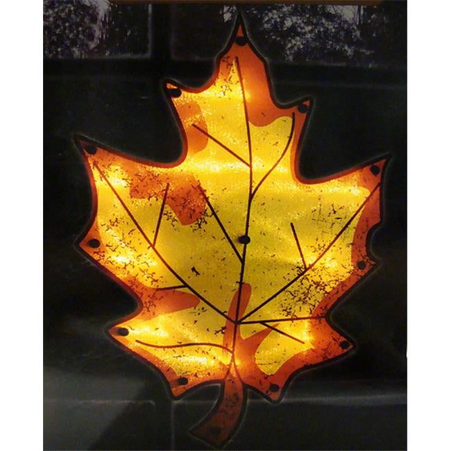 Harvest thanksgiving reflections
