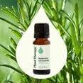 thumbnail image 2 of Plant Therapy Rosemary Essential Oil 100% Pure, Undiluted, Natural Aromatherapy 10 mL (1/3 fl oz), 2 of 8