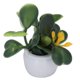 thumbnail image 2 of 4 Pcs Miniature Artificial Potted Plants for Dollhouse, Small Bonsai Trees for 1:12 Scale Garden Decoration, 2 of 2