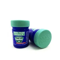 Vicks Vaporub Camphor, Menthol - vapor rub - 25G x 2Jars