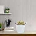 thumbnail image 2 of 60 Pcs Flowerpot Gardening Flowerpots Plastic Bonsai Mini Succulent Plant Simple, 2 of 7