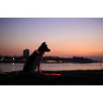 thumbnail image 7 of Led Lighted Up Dog Collar Flashing 100% Waterproof USB Rechargeable Pet Dog Safety Collar Glow in The Dark Light-up Neck Loop Red(16.53IN-22.04IN), 7 of 7