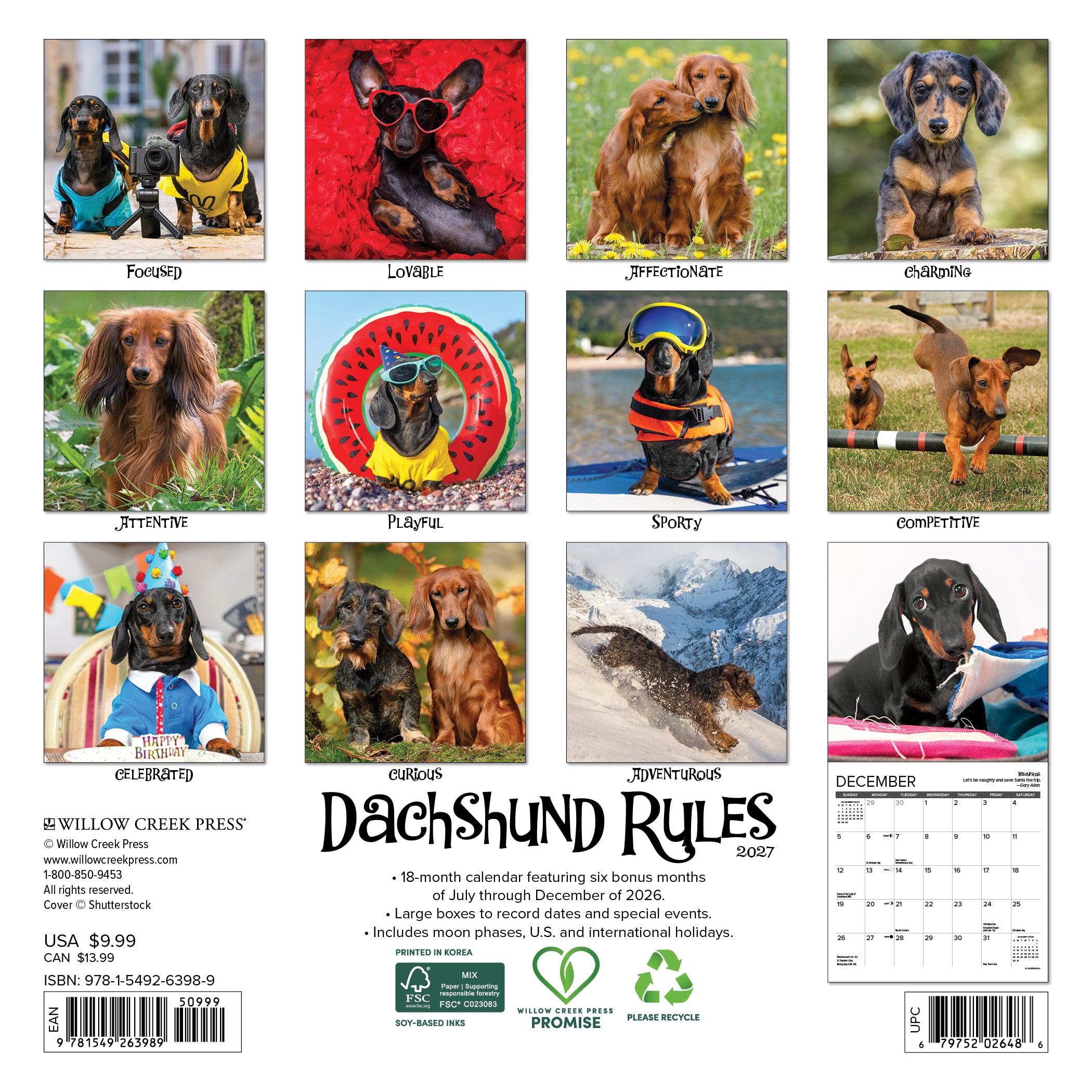 Willow Creek Press, Dachshund Rules 2027 Mini Wall Calendar