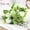 Green/12.99"/1Pc, variant on WUJDF Hydrangea Artificial Flower Bouquet,Realistic Layered Silk Blooms with Green Leaves and Filler Buds,Perfect for Home Soft Furnishings,Festival Decor,Window Displays,and Special Events