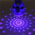 thumbnail image 2 of Tholdsy Niños dibujos animados iluminación micrófono Stick luz proyector niños regalo juguete Color aleatorio Juguetes, 2 of 6