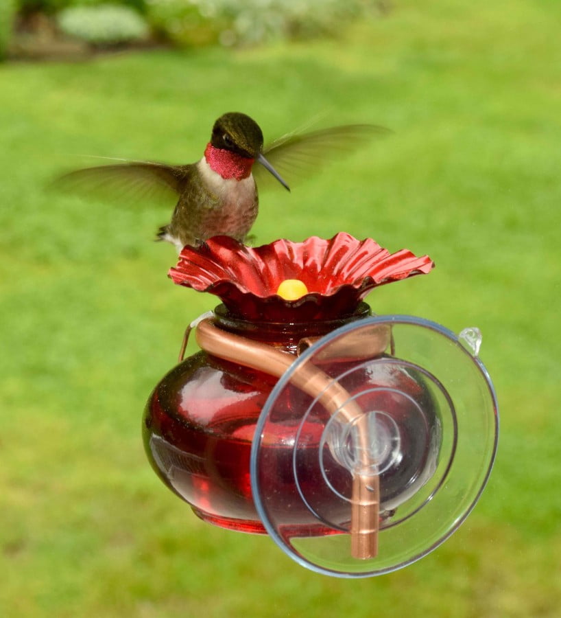1 Tier Hanging Sphere Hummingbird Feeder with Built in Hook 