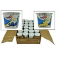 thumbnail image 2 of Yoplait Lite Vanilla Blueberry Yogurt, 4 Ounce -- 48 per case., 2 of 5