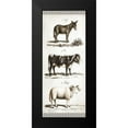 thumbnail image 2 of Babbitt, Gwendolyn 10x18 Black Modern Framed Museum Art Print Titled - Burro, Cow, Sheep, 2 of 5