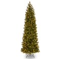 thumbnail image 1 of Árbol de Navidad de National Tree Company, 6.5 pies, con luces LED, 1 of 6