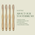 thumbnail image 6 of PLUS ULTRA Bamboo Toothbrush, Soft Bristle All-Natural Toothbrush, Dentist-Approved, 4 Pack, 6 of 7