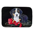 thumbnail image 1 of Carolines Treasures SS8566DDM Entlebucher Mountain Dog Dish Drying Mat, 1 of 1