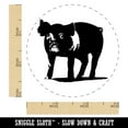 thumbnail image 2 of Pig Sketch Self-Inking Rubber Stamp Ink Stamper - Fuchsia Ink - Small 3/4 Inch, 2 of 7