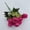 Hot Pink, variant on Artificial 10-Head Pearl Rose Flowers, Small Bunches of Silk Roses for Home Floor Standing Ornaments, Indoor Hotel Soft Decoration, Champagne