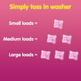 thumbnail image 6 of Snuggle Exhilarations In Wash Laundry Scent Booster Pacs, Island Hibiscus and Rainflower, 26 Count, 6 of 9