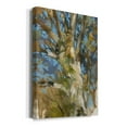 thumbnail image 2 of Oak Tree Premium Gallery Wrapped Canvas - Ready to Hang, 2 of 9