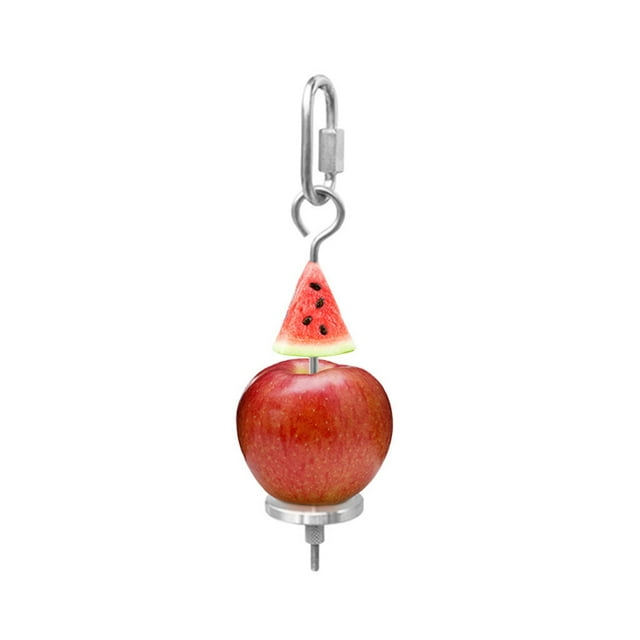 Xihbxyly Pincho de Acero Inoxidable para Comida de Pájaros, Soporte para Frutas y Verduras para Loros, Herramienta de Búsqueda de Alimento Duradera, Fácil de Colgar, Apto para Pájaros Pequeños, Relle