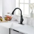 thumbnail image 2 of ANZZI Accent Series Single-Handle Pull-Down Sprayer Kitchen Faucet in Matte Black, 2 of 5