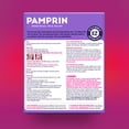 thumbnail image 2 of Pamprin Heat Relief Menstrual Heat Patches, 3 count, 2 of 9