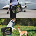 thumbnail image 7 of Frog Premium Pet Carrier - Portable Travel Bag for Small Dogs and Cats - 17x10x11.8 in - Fabric 900D Oxford Cloth,Nylon Webbing - Comfortable and Stylish Transport Solution!, 7 of 7