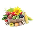 thumbnail image 6 of Jobe's Organics All Purpose Slow Release Plant Fertilizer Granules, 16 lb, 6 of 7