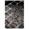 thumbnail image 3 of Pit Boss 100% All-Natural Hardwood Apple Blend BBQ Grilling Pellets, 20 Pound Bag, 3 of 5