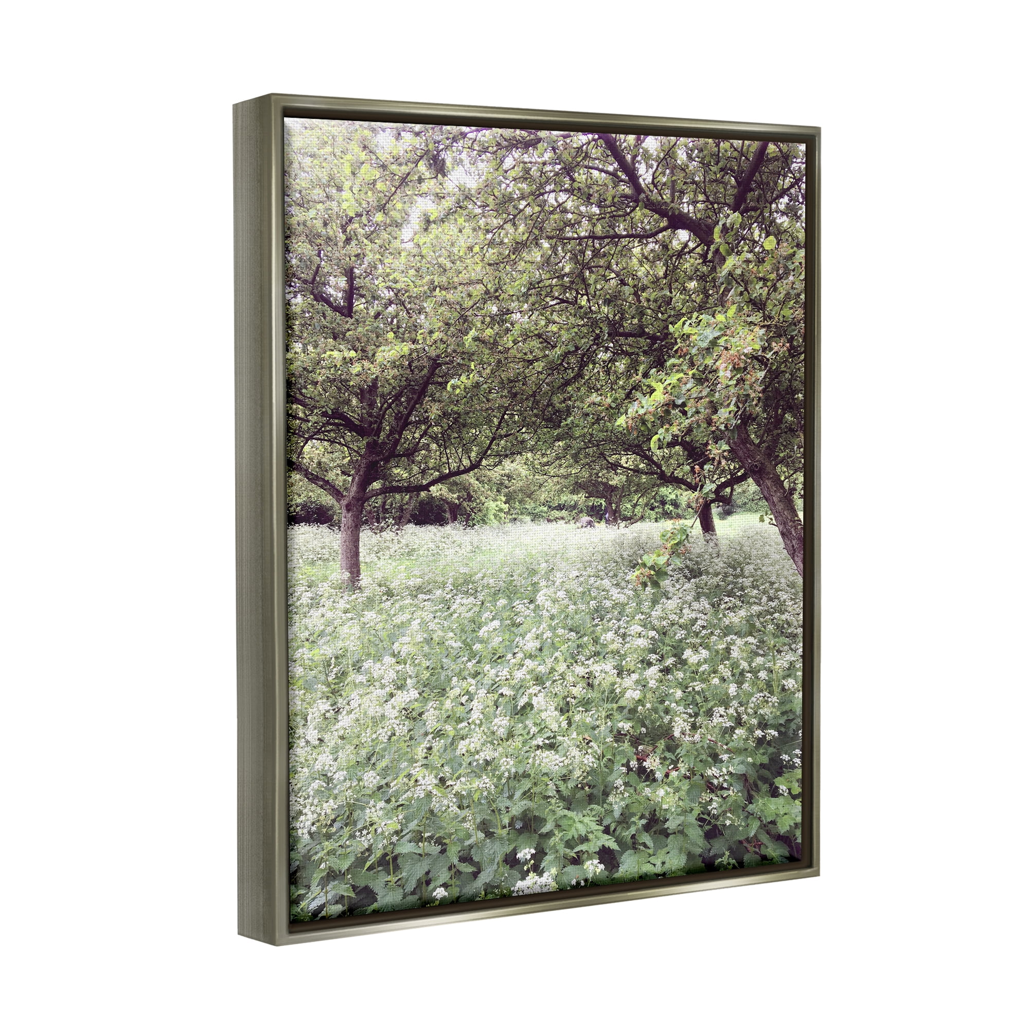Stupell Industries Lush Meadow Trees Landscape Photography Gray Floater Framed Canvas Art Print Wall Art, 25 x 31